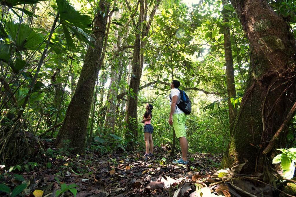 Arenal Ginger Home La Fortuna Eksteriør billede