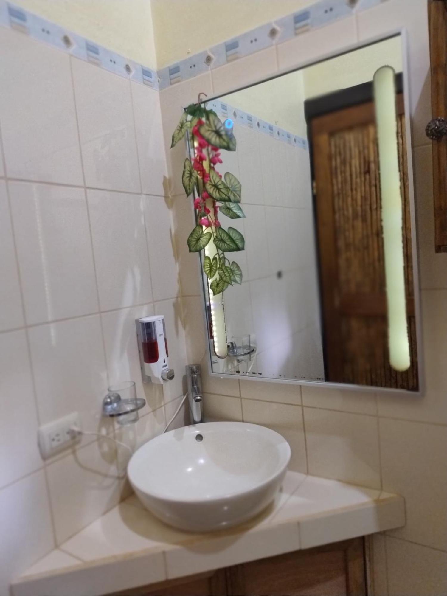 Arenal Ginger Home La Fortuna Eksteriør billede